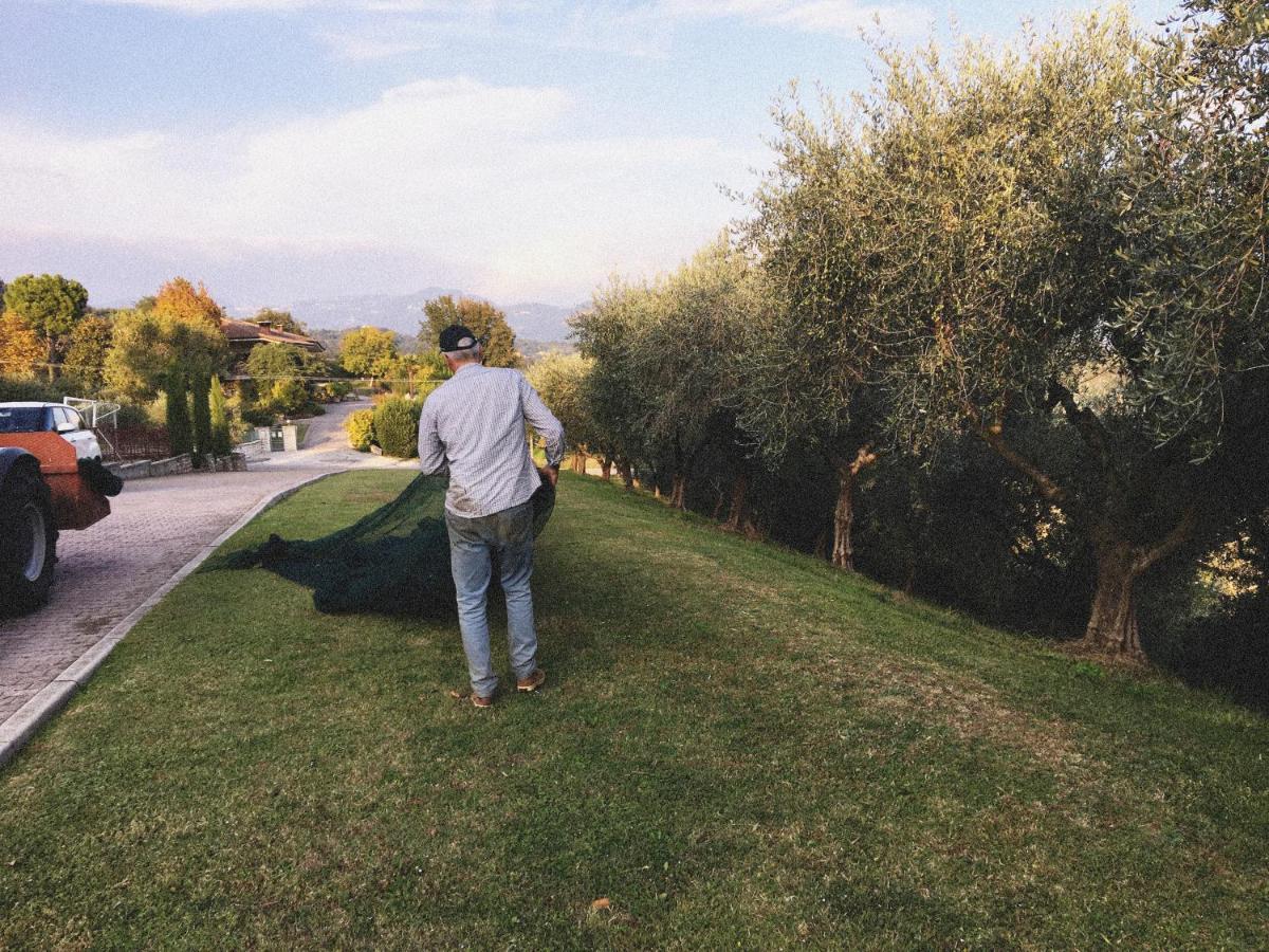 Agriturismo Ca' Cristane Rivoli Veronese Экстерьер фото