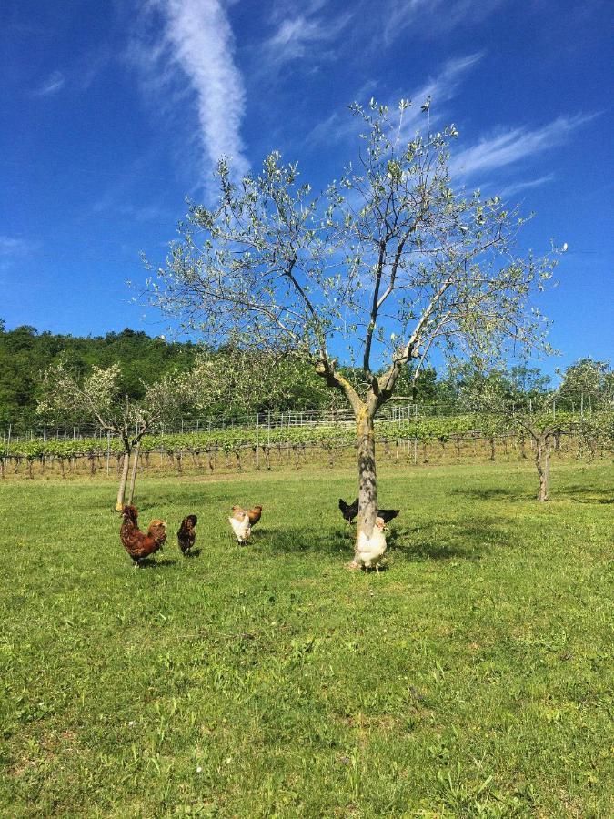 Agriturismo Ca' Cristane Rivoli Veronese Экстерьер фото