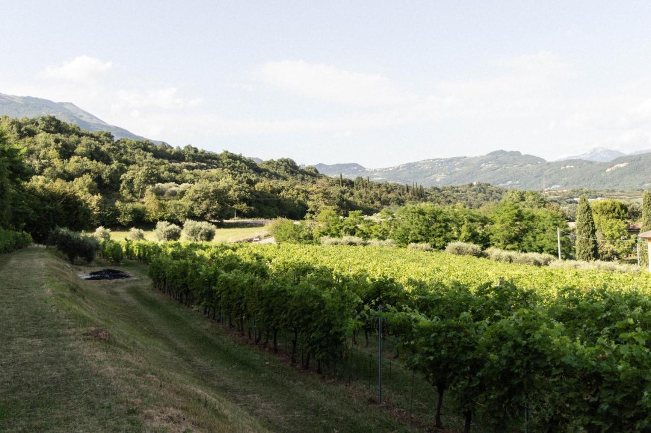Agriturismo Ca' Cristane Rivoli Veronese Экстерьер фото