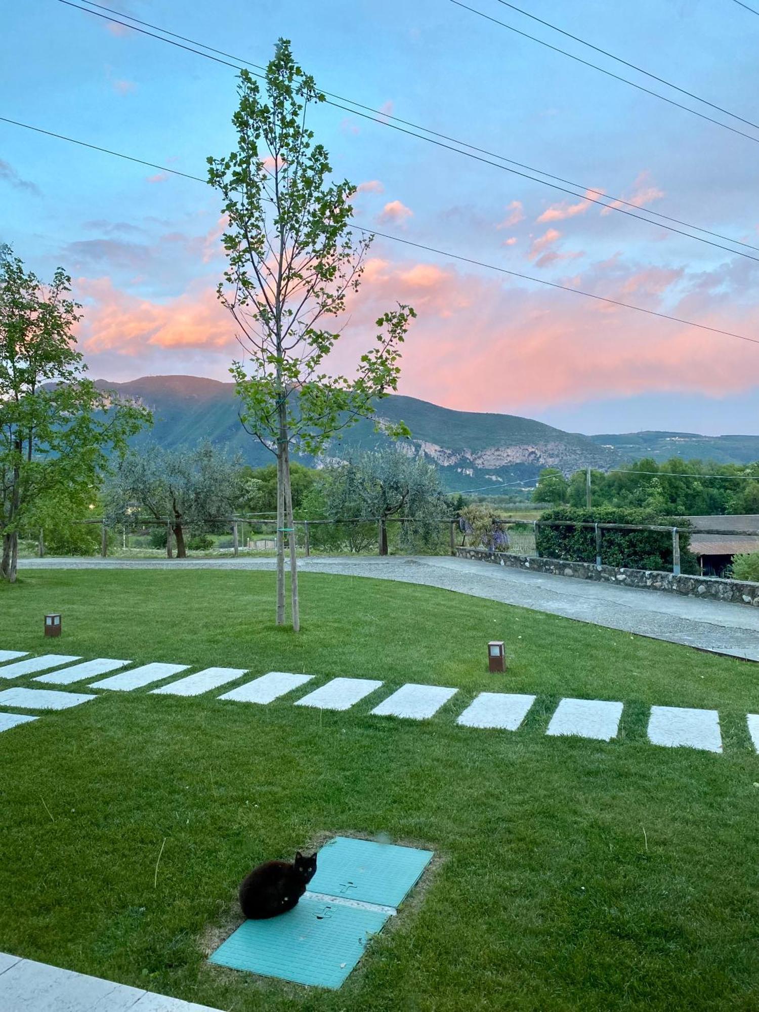 Agriturismo Ca' Cristane Rivoli Veronese Экстерьер фото
