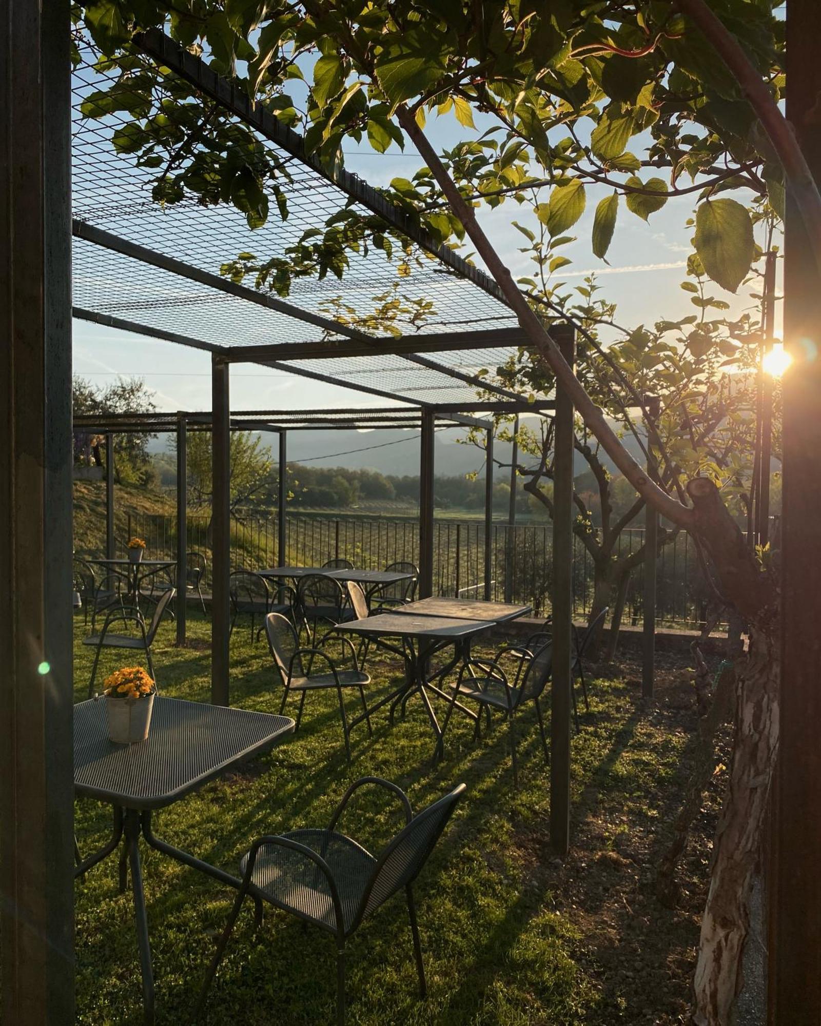 Agriturismo Ca' Cristane Rivoli Veronese Экстерьер фото